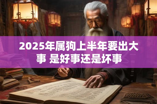 2025年属狗上半年要出大事 是好事还是坏事