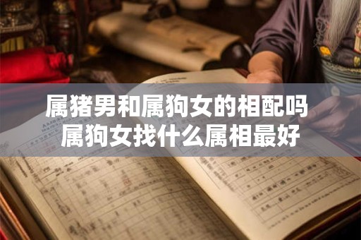 属猪男和属狗女的相配吗 属狗女找什么属相最好
