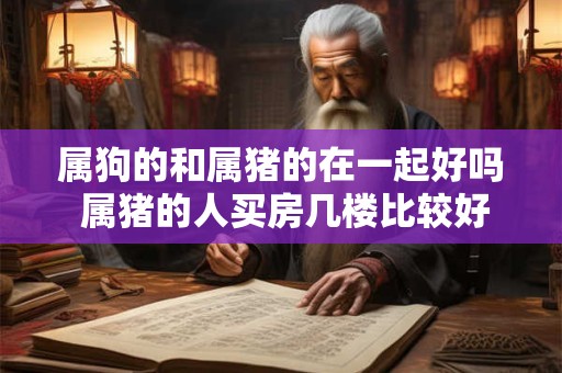 属狗的和属猪的在一起好吗 属猪的人买房几楼比较好