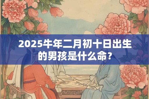2025牛年二月初十日出生的男孩是什么命？