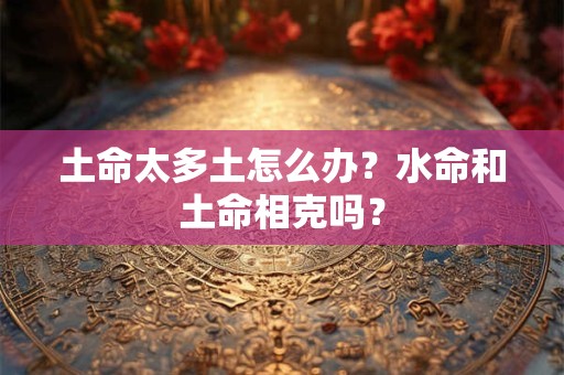 属龙生什么属相宝宝好 属龙的一生有几个孩子