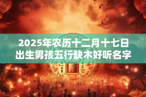 2025年农历十二月十七日出生男孩五行缺木好听名字推荐