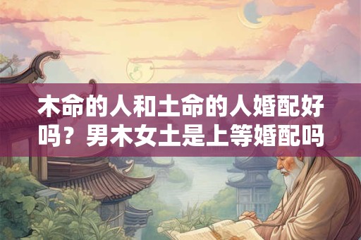 木命的人和土命的人婚配好吗？男木女土是上等婚配吗
