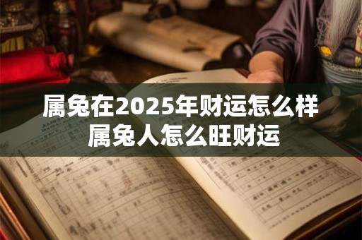 属兔在2025年财运怎么样 属兔人怎么旺财运