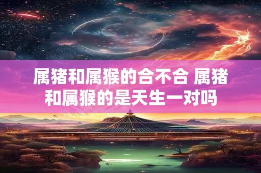 属猪和属猴的合不合 属猪和属猴的是天生一对吗