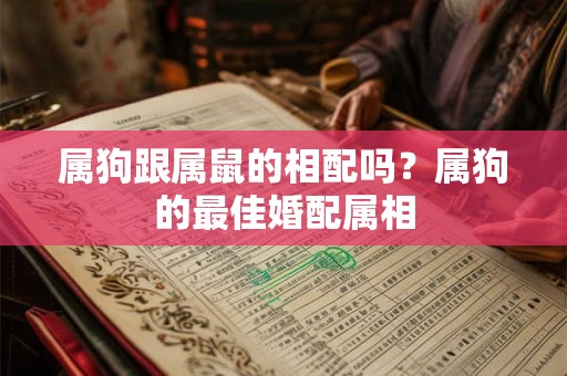 属狗跟属鼠的相配吗？属狗的最佳婚配属相