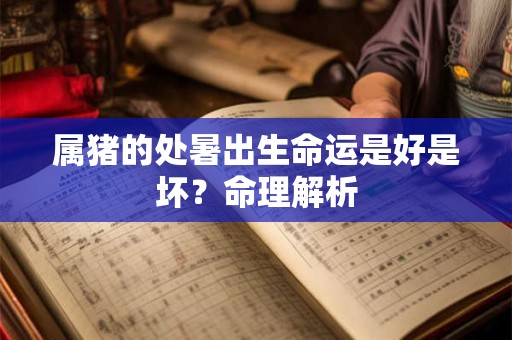 属猪的处暑出生命运是好是坏？命理解析