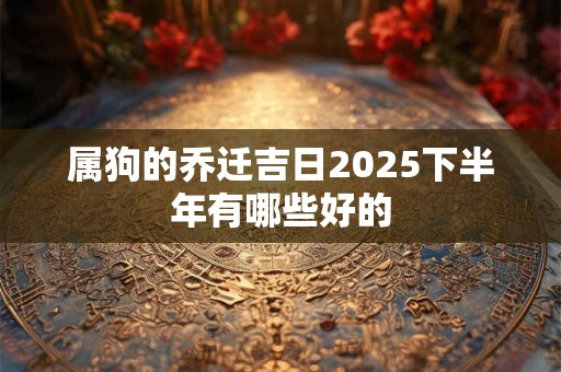 属兔2025年2月27日运势  2025年2月27日属兔今日运势