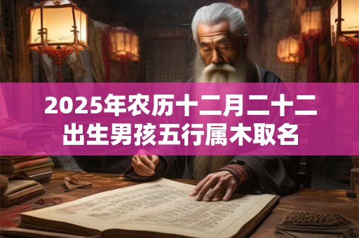 2025年农历十二月二十二出生男孩五行属木取名