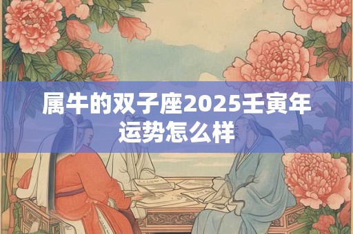 属牛的双子座2025壬寅年运势怎么样
