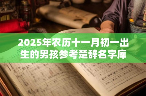 2025年农历十一月初一出生的男孩参考楚辞名字库