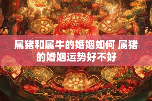 属猪和属牛的婚姻如何 属猪的婚姻运势好不好