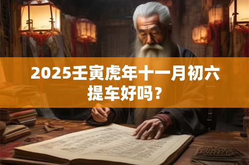 2025壬寅虎年十一月初六提车好吗？