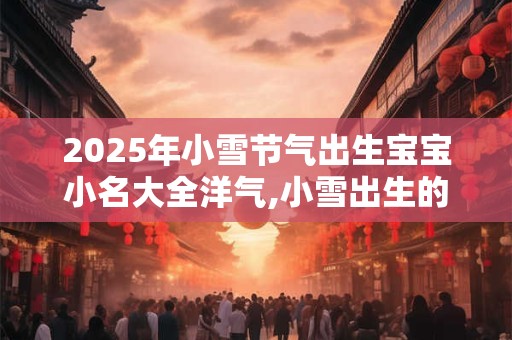 2025年小雪节气出生宝宝小名大全洋气,小雪出生的宝宝名字