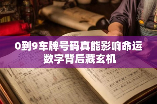 0到9车牌号码真能影响命运 数字背后藏玄机