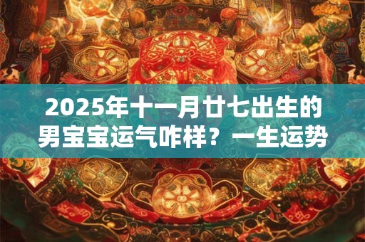 2025年十一月廿七出生的男宝宝运气咋样？一生运势分析