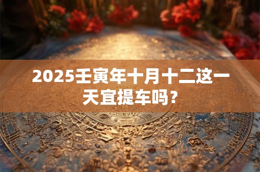 2025壬寅年十月十二这一天宜提车吗？