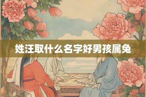 姓汪取什么名字好男孩属兔