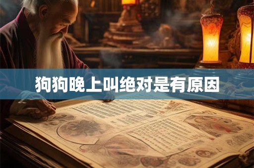 狗狗晚上叫绝对是有原因