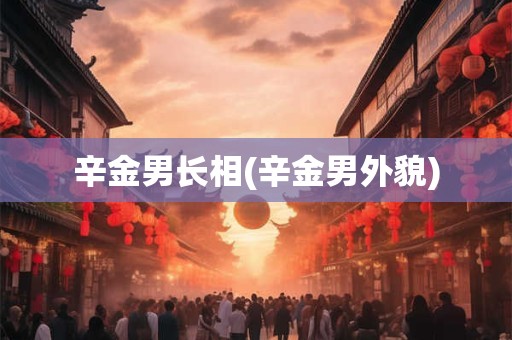 辛金男长相(辛金男外貌)