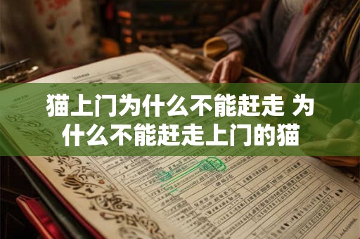 猫上门为什么不能赶走 为什么不能赶走上门的猫