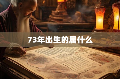 73年出生的属什么