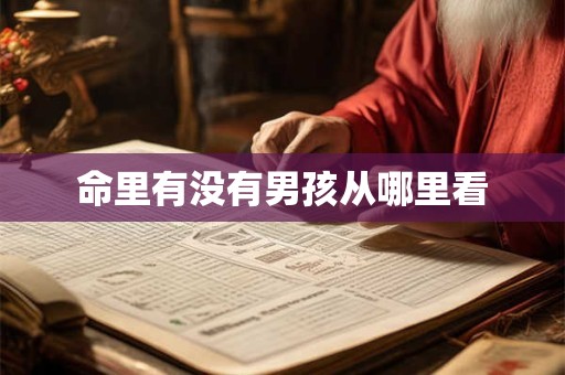 命里有没有男孩从哪里看