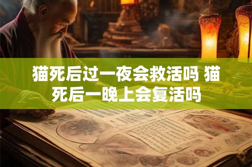 猫死后过一夜会救活吗 猫死后一晚上会复活吗