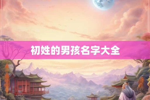 初姓的男孩名字大全