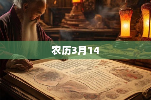 农历3月14