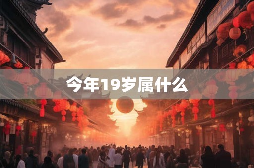 今年19岁属什么