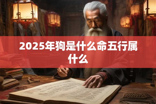 2025年狗是什么命五行属什么