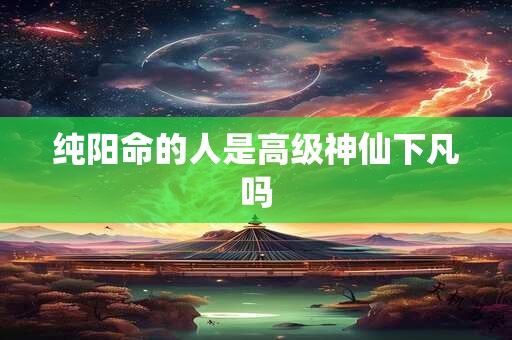 纯阳命的人是高级神仙下凡吗