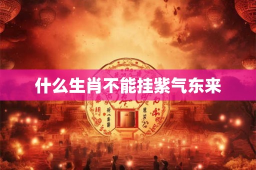 什么生肖不能挂紫气东来