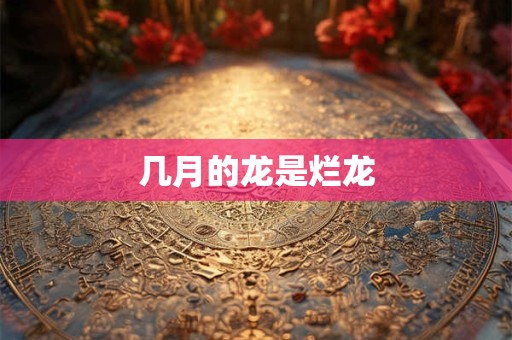 几月的龙是烂龙