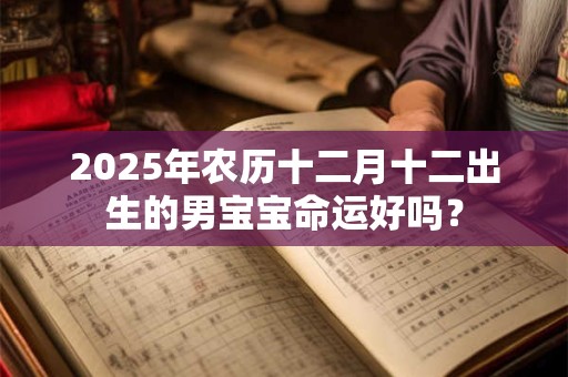 2025年农历十二月十二出生的男宝宝命运好吗？