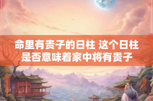 命里有贵子的日柱 这个日柱是否意味着家中将有贵子