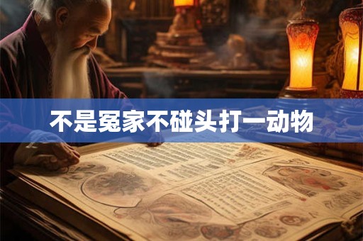详细阅读:不是冤家不碰头打一动物 不是冤家不碰头打一动物