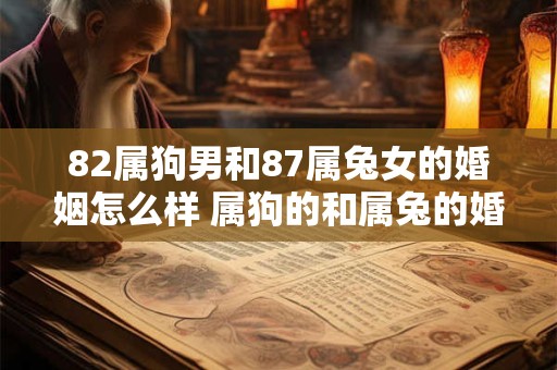 82属狗男和87属兔女的婚姻怎么样 属狗的和属兔的婚配指数
