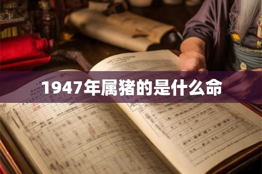 五行穿衣2025年3月22日