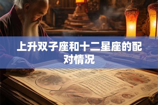 上升双子座和十二星座的配对情况