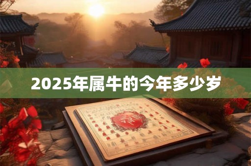 2025年属牛的今年多少岁