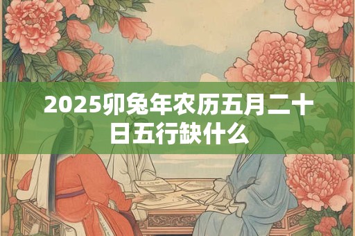 2025卯兔年农历五月二十日五行缺什么