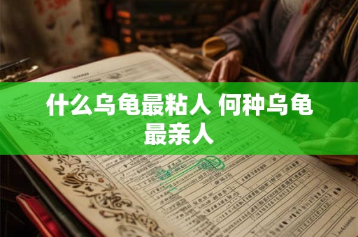 免费八字测事业发展方向 你的事业发展方向免费测算准确吗