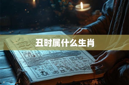 丑时属什么生肖