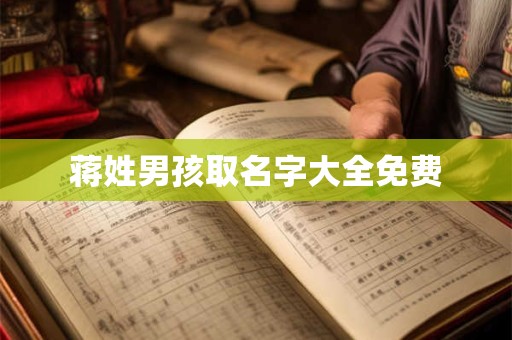 蒋姓男孩取名字大全免费