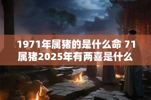 1971年属猪的是什么命 71属猪2025年有两喜是什么