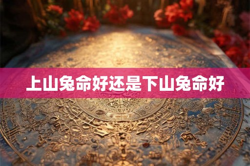 上山兔命好还是下山兔命好