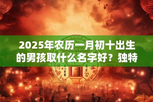 2025年农历一月初十出生的男孩取什么名字好？独特有志向的名字推荐