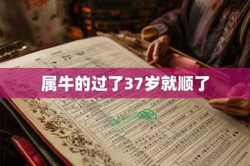 属牛的过了37岁就顺了
